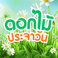 ดอกไม้ประจำวัน