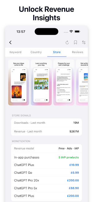 AppIdea: Market Research Screenshot 2
