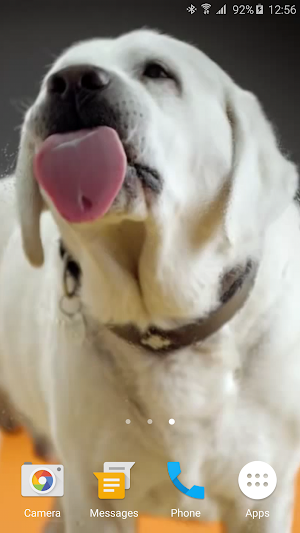Dog Licks Screen 4K LWP Screenshot 3