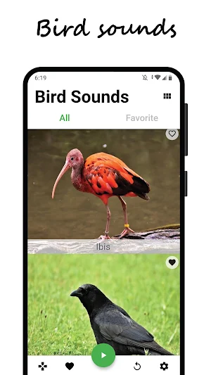 Bird sounds Screenshot 0