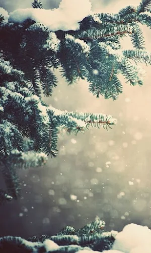 Beautiful Snowfall Wallpapers Screenshot 0