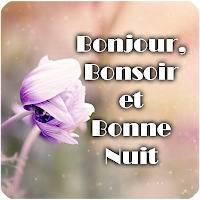 Bonjour, Bonne journée, Bonsoir et Bonne nuit