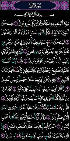 القرآن الكريم مصحف تجويد ورش Screenshot 1
