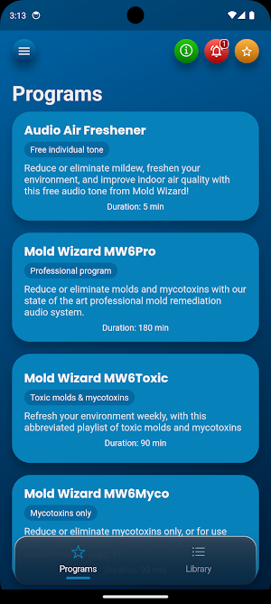 Mold Wizard Screenshot 3