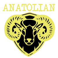 Anatolian Grill House Cardiff