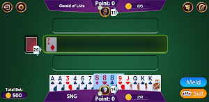 Rummy 500 - Offline Card Games Screenshot 0