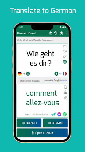 French - German Translator Screenshot 1