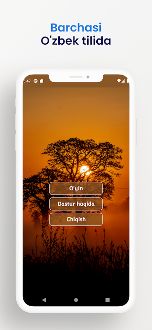 Bayroqlar Screenshot 2