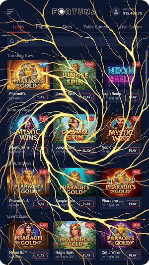 Fortuna Casino Screenshot 1