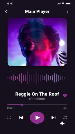 MusiChic-Offline Music Player Screenshot 3