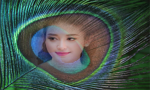 Peacock Feathers Photo Frame Screenshot 1