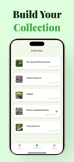 BirdSnap - Bird Identifier Screenshot 3