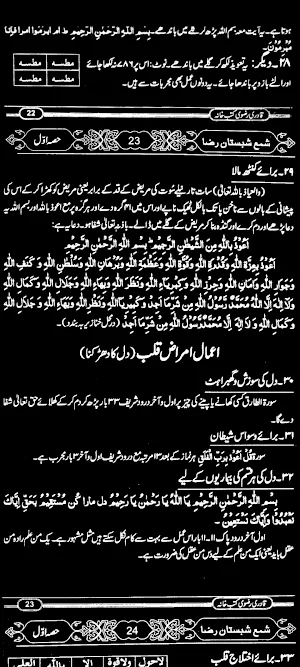 Shama Shabistan Raza Screenshot 3