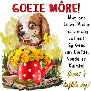 Goeie môre Beelde Screenshot 2