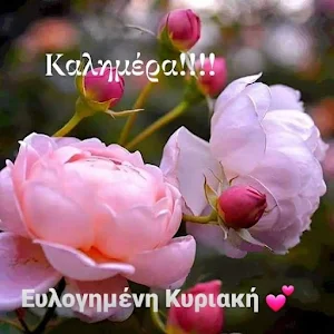 Καλημέρα Screenshot 1