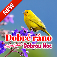 Czech Good Morning Afternoon & Good Night Wishes