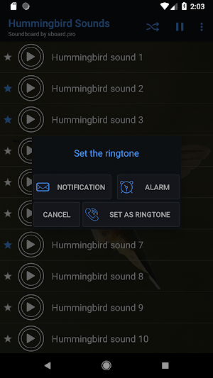 Hummingbird sounds ~ Sboard.pro Screenshot 2