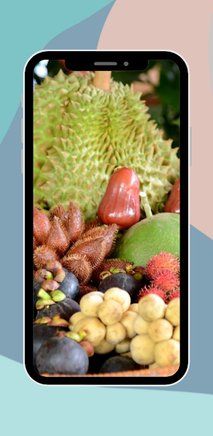 Types of Tropical Fruits Screenshot 1