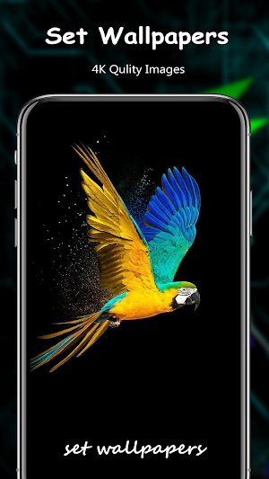 Parrot Bird Wallpapers Screenshot 3