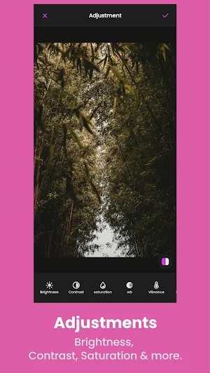 Photoloom : Photo Editor Screenshot 3