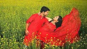 Pre wedding photography ideas Screenshot 1