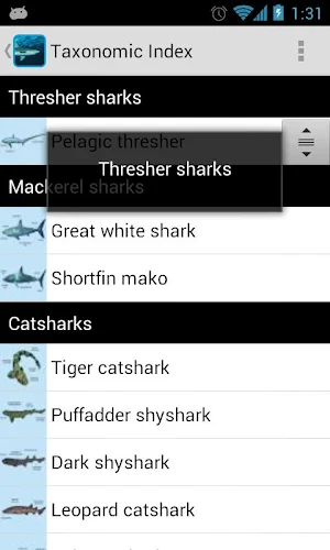 eGuide to Sharks and Rays Screenshot 1