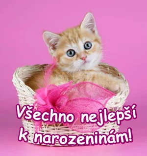 Všechno nejlepší k narozeninám Screenshot 1