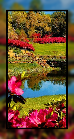 Beautiful River Wallpaper HD Screenshot 2