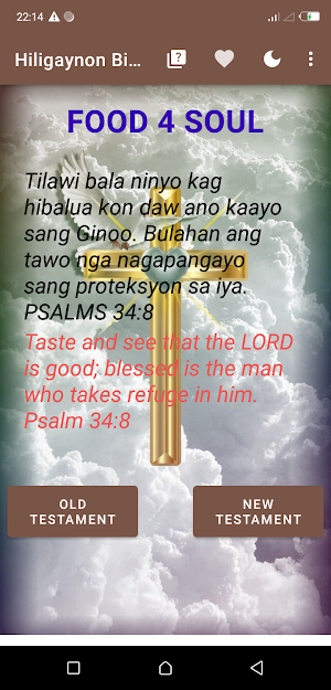 Hiligaynon English Bible Screenshot 0