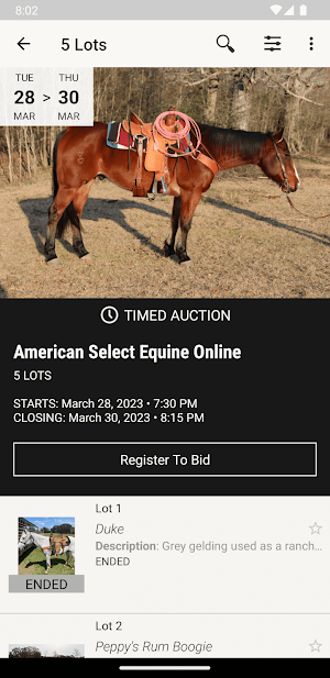 ASE Auctions Screenshot 1