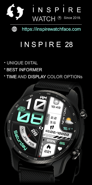 Modern Digital Informer IN28 Screenshot 1
