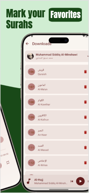 Al-Minshawi Quran Offline Screenshot 2