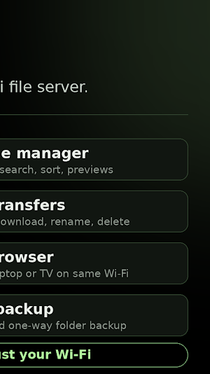 LocalNAS: Turn Phone to NAS Screenshot 3