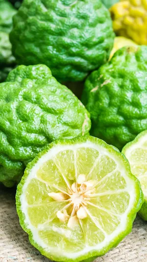 Bergamot Wallpapers Screenshot 1