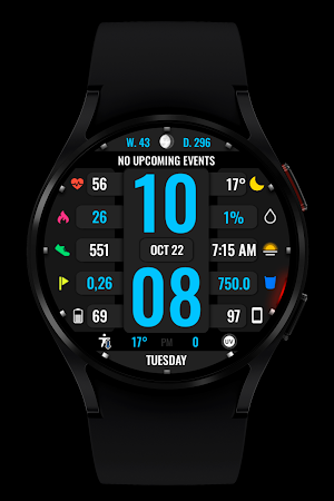 WR 017 Digital Watch Face Screenshot 1