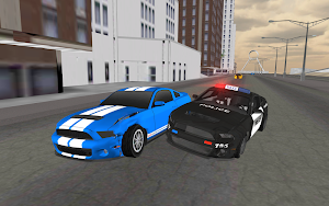 Police Car Driving 3D Screenshot 3