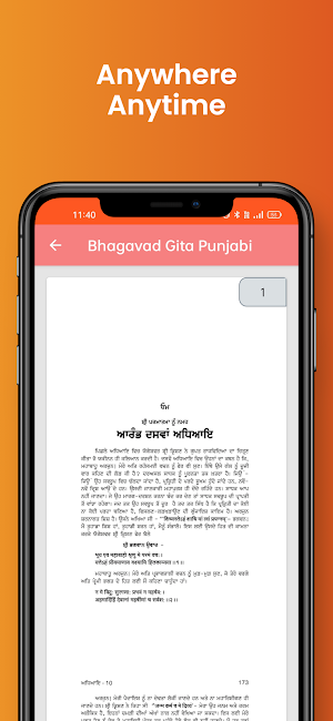 Bhagavad Gita In Punjabi Screenshot 3