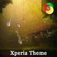 rain | Xperia™ Theme