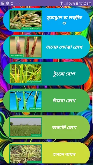 ধানের রোগ ~ Paddy Diseases Screenshot 1