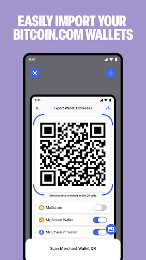 Bitcoin.com Checkout Screenshot 3