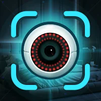 IR Camera & Magnetic Sensor