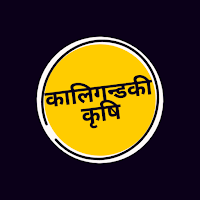 कालिगन्डकी कृषि मार्केट