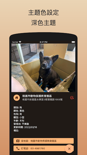 浪浪不流浪 - 台灣流浪動物認養/領養資料庫 Screenshot 2