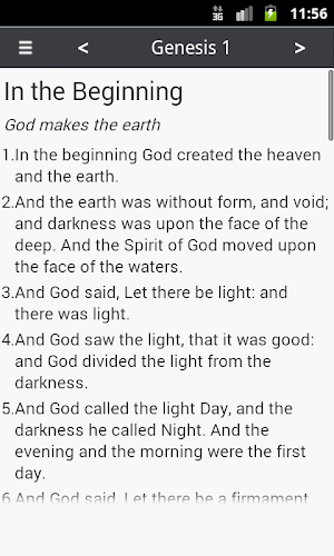 Holy Bible Plus Screenshot 2