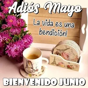 Saludos para toda ocasión Screenshot 0