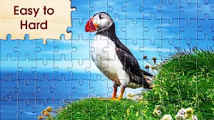 Jigsaw Puzzle HD 2023 Pro Screenshot 0
