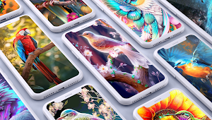 Bird wallpapers HD Screenshot 0