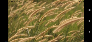 SmartFlix Screenshot 3