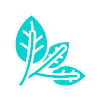 VeGyGy - Vegan recipes