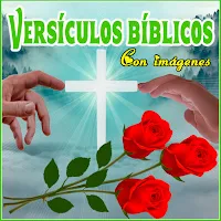 Versículos bíblicos